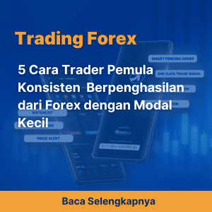 5 Cara Trader Pemula Konsisten  Berpenghasilan dari Forex dengan Modal Kecil